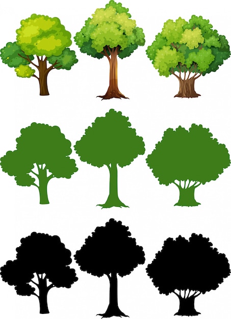 Set of different tree