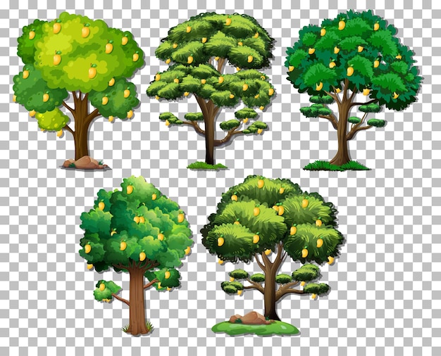 Set of different trees on transparent background