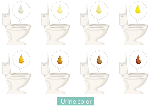 Free Vector set of different urine color with toilets