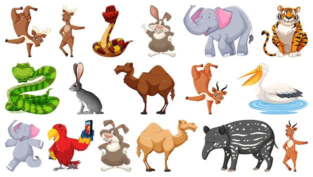 Set of different wild animals cartoon characters