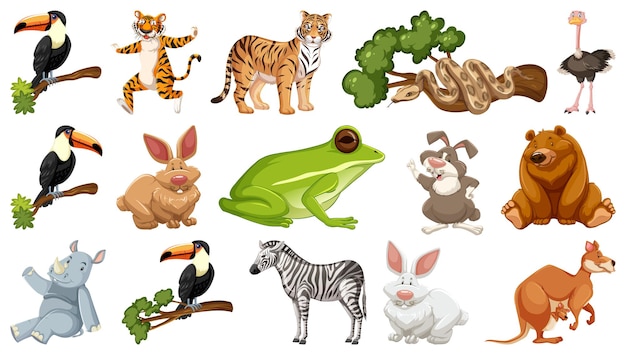 Set of different wild animals cartoon characters