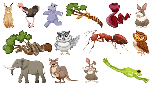 Set of different wild animals cartoon characters