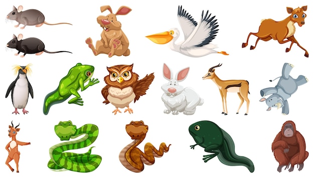 Set of different wild animals cartoon characters