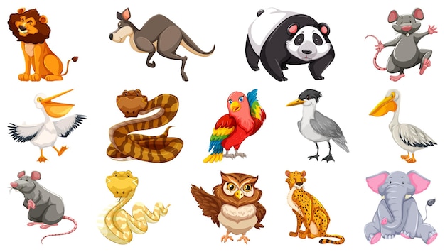 Free vector set of different wild animals cartoon characters