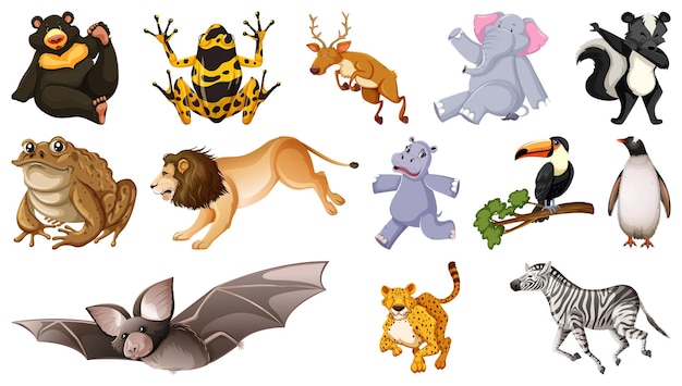 Set of different wild animals cartoon characters