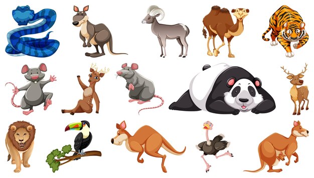 Set of different wild animals cartoon characters