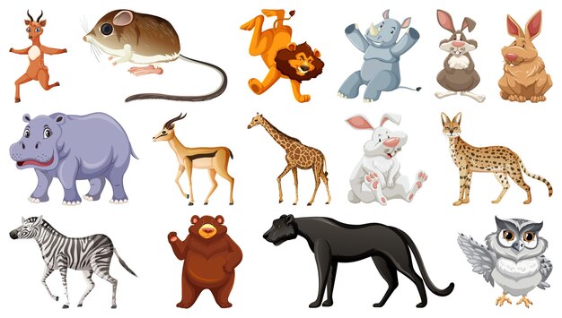 Set of different wild animals cartoon characters