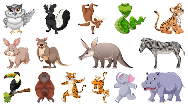 Set of different wild animals cartoon characters