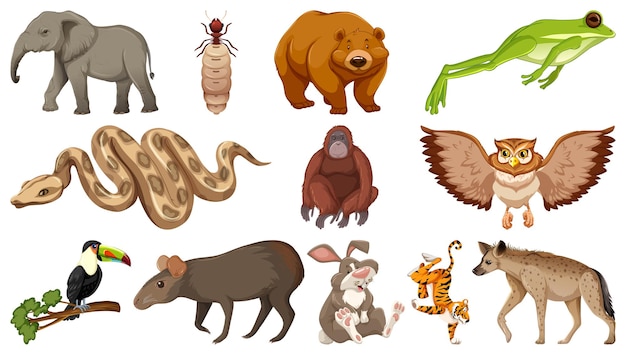 Set of different wild animals cartoon characters