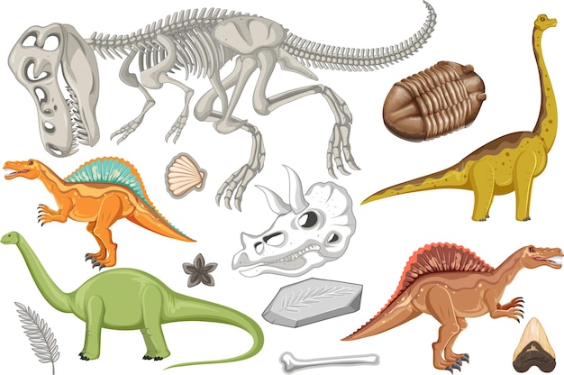 A set of dinosaur and fossil