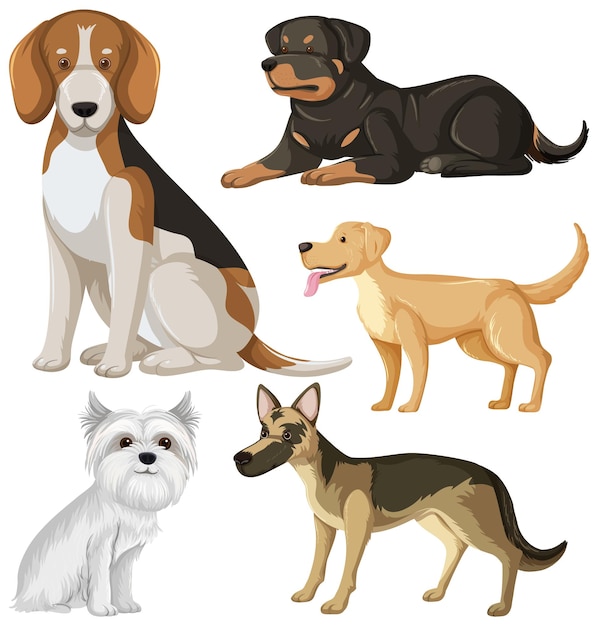 Free Vector set of dog dog breeds cartoon