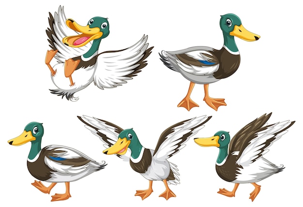 Set of duckling doing different activities