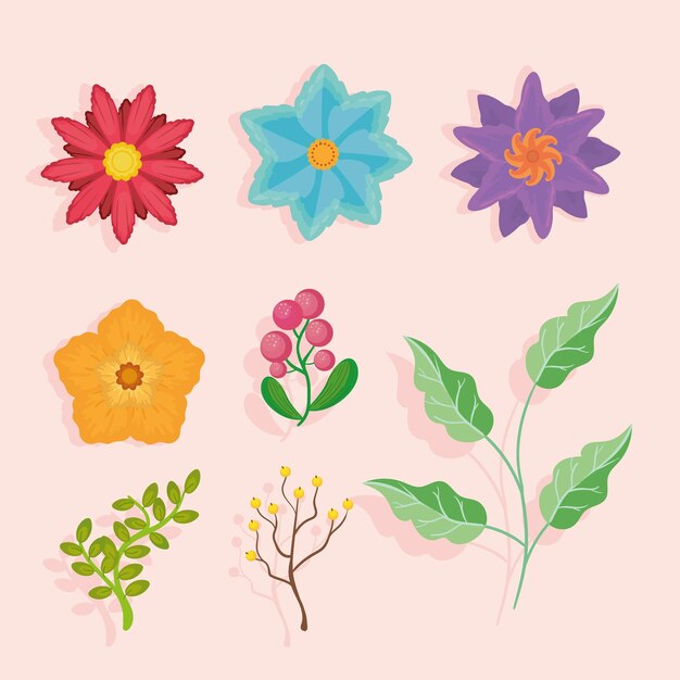 set of eight flowers and plants