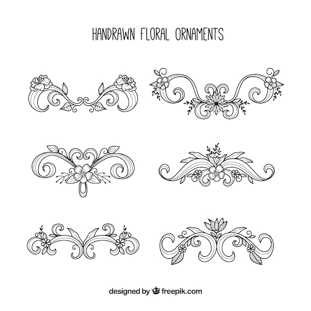 Set of elegant floral ornaments