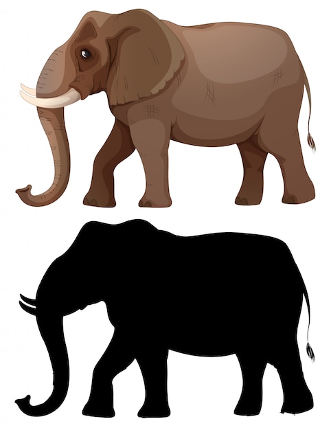 Free vector set of elephant character