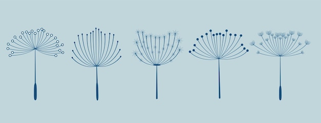 Free Vector set of five dandelion flowers seeds