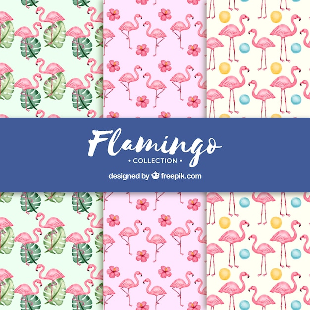 Set of flamingos patterns with plants