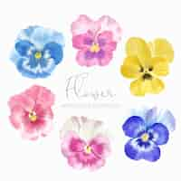 Free vector set of floral elements collection set of flower watercolor style