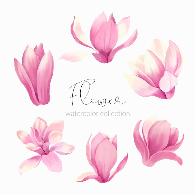 Free Vector set of floral elements collection set of flower watercolor style