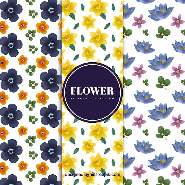 Free Vector set of flower patterns in realistic style