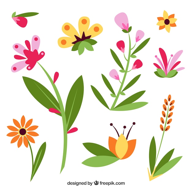 Set of flowers in flat design 