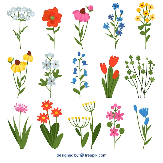 Free Vector set of flowers in flat style