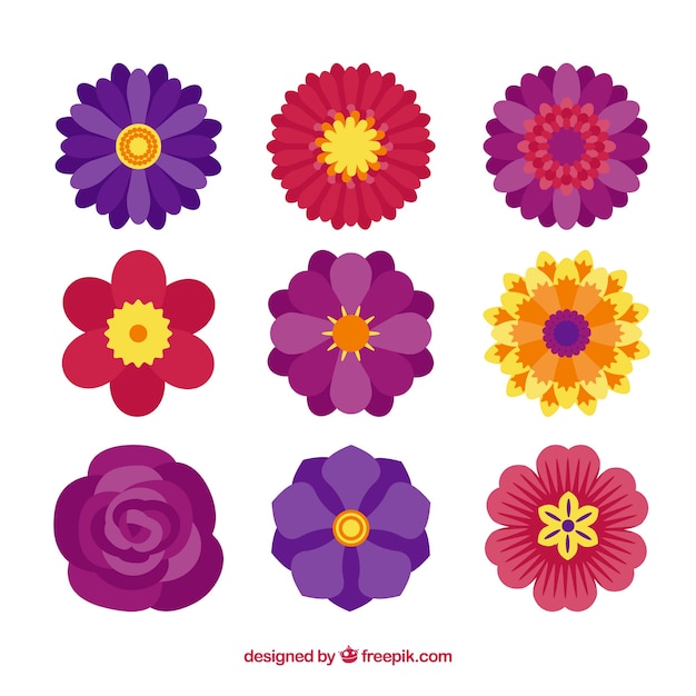 Set of flowers in flat style