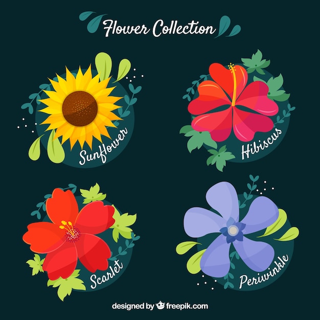 Set of flowers in flat style