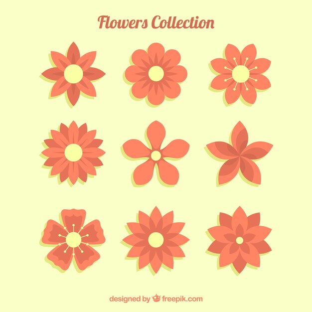 Set of flowers in flat style