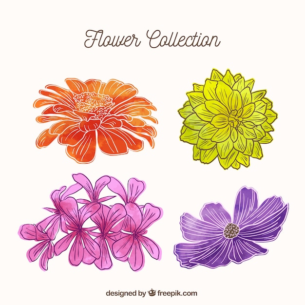 Set of flowers in hand drawn style