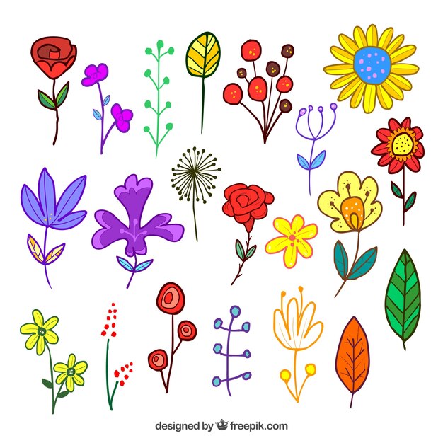 Set of flowers in hand drawn style