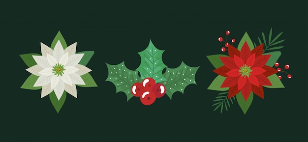 Free Vector set of flowers and leafs christmas decoration