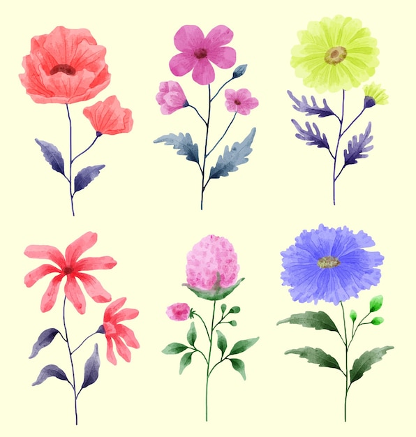 A set of flowers painted with watercolors to accompany various cards and greeting cards. 