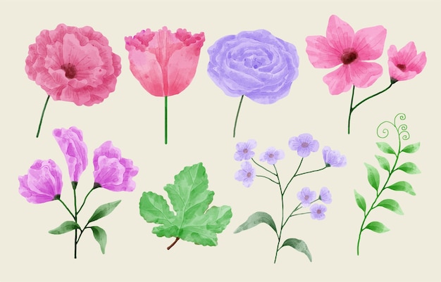 A set of flowers painted with watercolors to accompany various cards and greeting cards. 