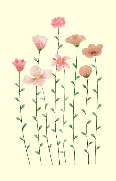 Free Vector a set of flowers painted with watercolors to accompany various cards and greeting cards