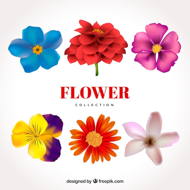 Set of flowers in realistic style