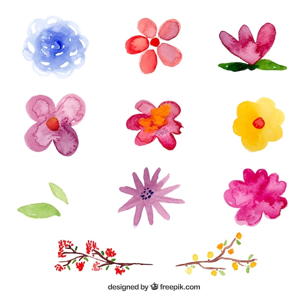 Set of flowers in watercolor style