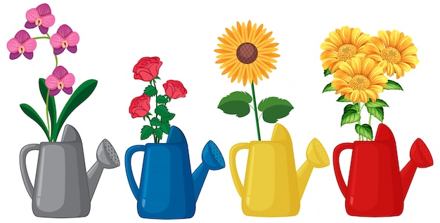 Free vector set of flowers in watering can on white background