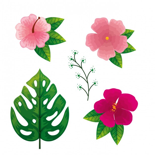 set of flowers with tropical leaves