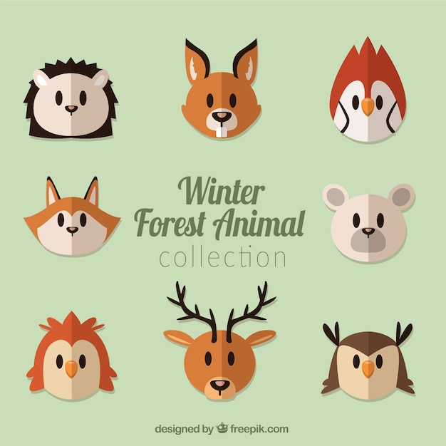 Free Vector set of forest animal nice in flat design