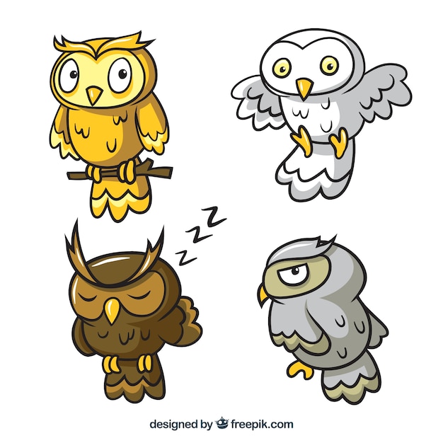 Set of four cartoon owls