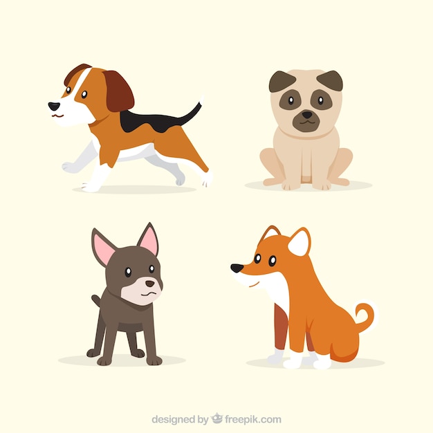 Set of four cute puppies in flat design