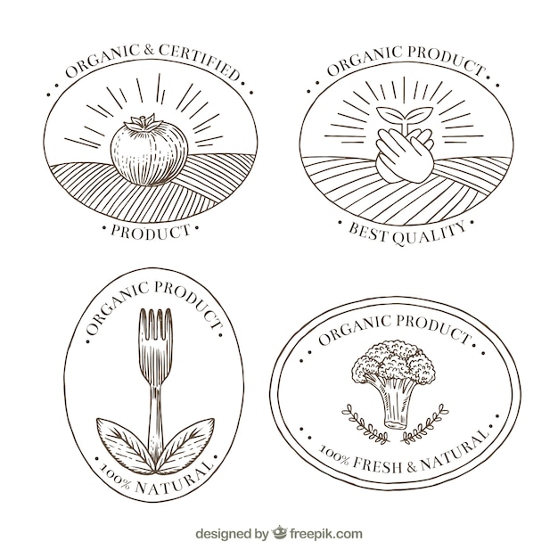 Free Vector set of four hand-drawn organic food stickers