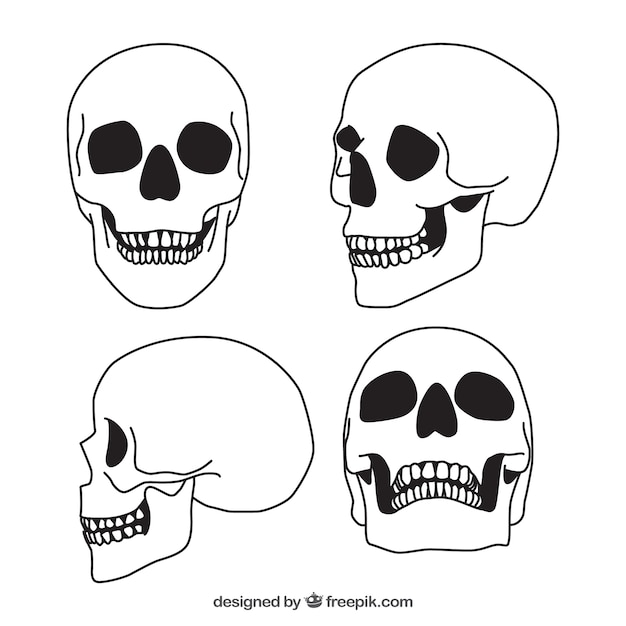 Set of four hand-drawn skulls