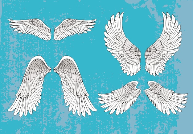 Free Vector set of four pairs of hand-drawn white wings in the open extended position with feather detail