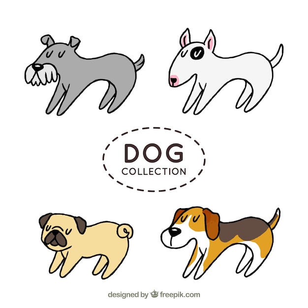 Set of four profile dogs in hand-drawn style