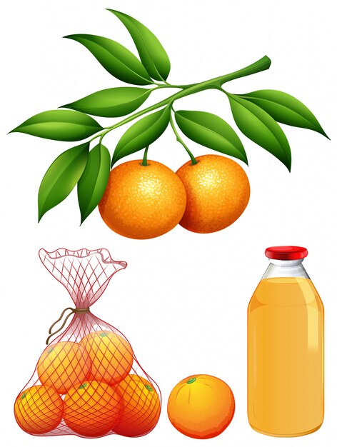 Set of fresh oranges and juice