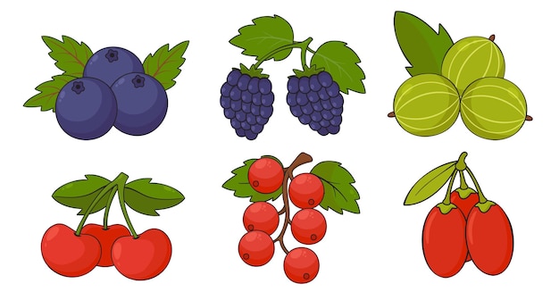 Set of fruits and berries with blueberry grapes cherry and others drawing isolated on white background flat vector illustration