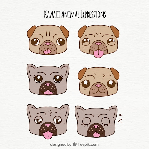 Free Vector set of funny dog ​​faces with expressions