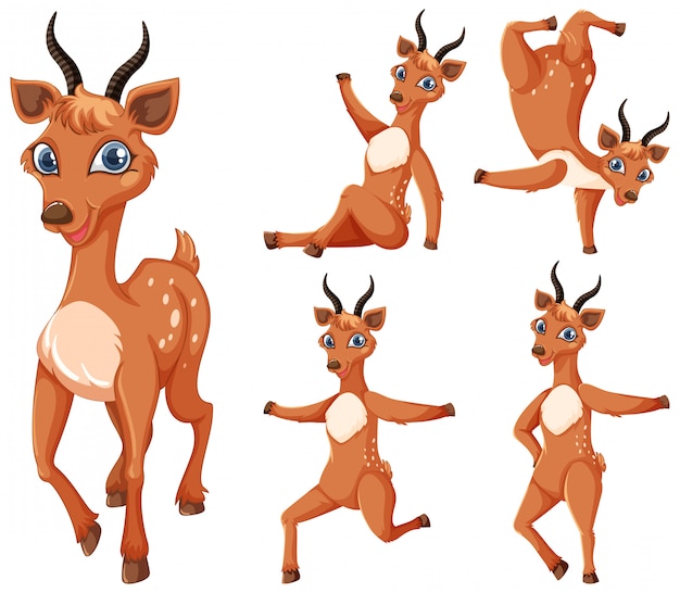 Set of gazelle cartoon character